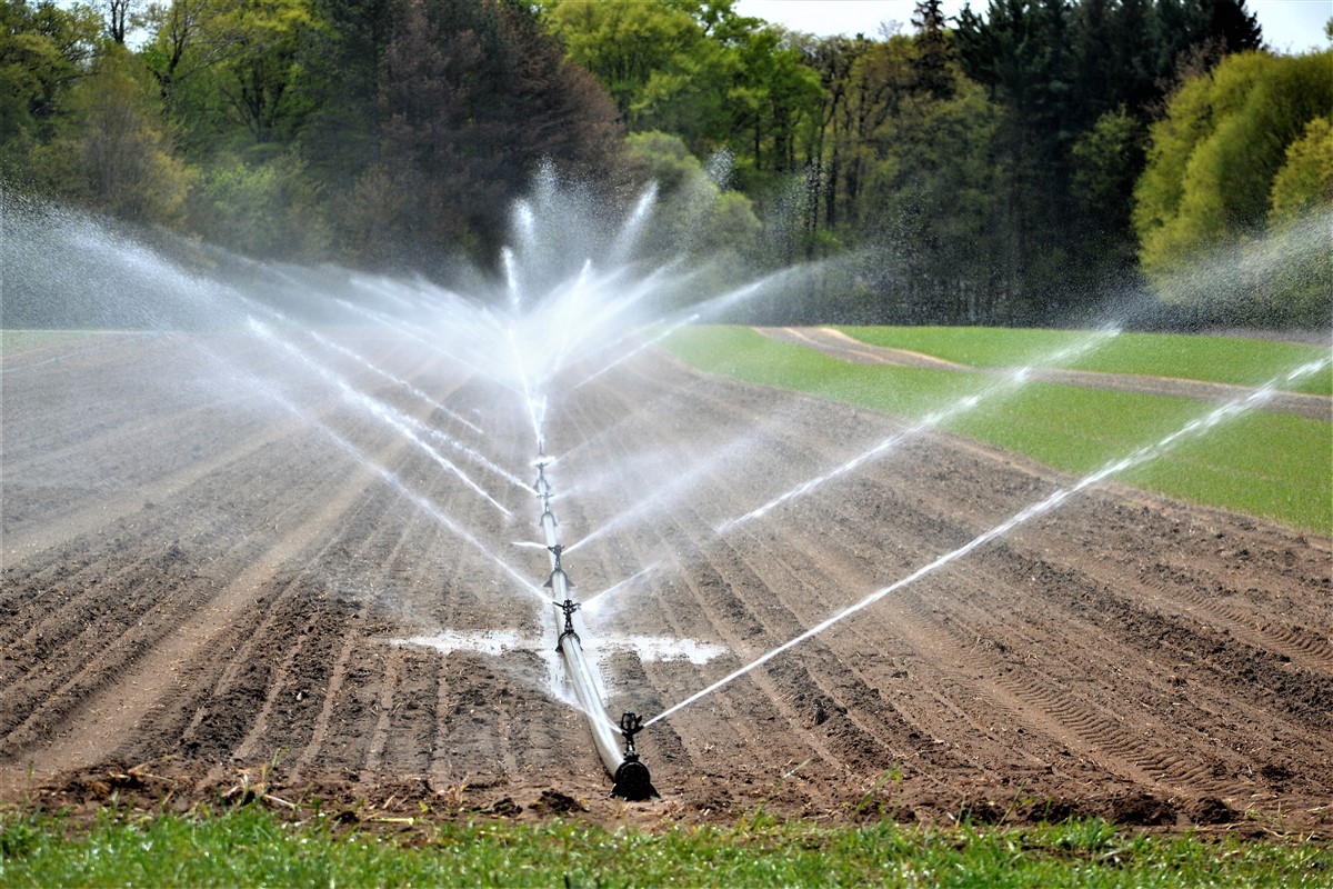 Arrosage en plein soleil