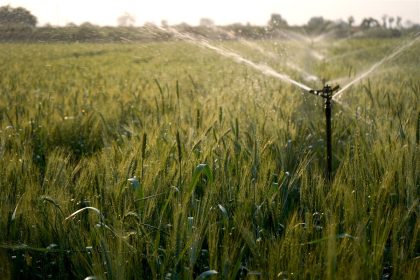 Arrosage par les agriculteurs