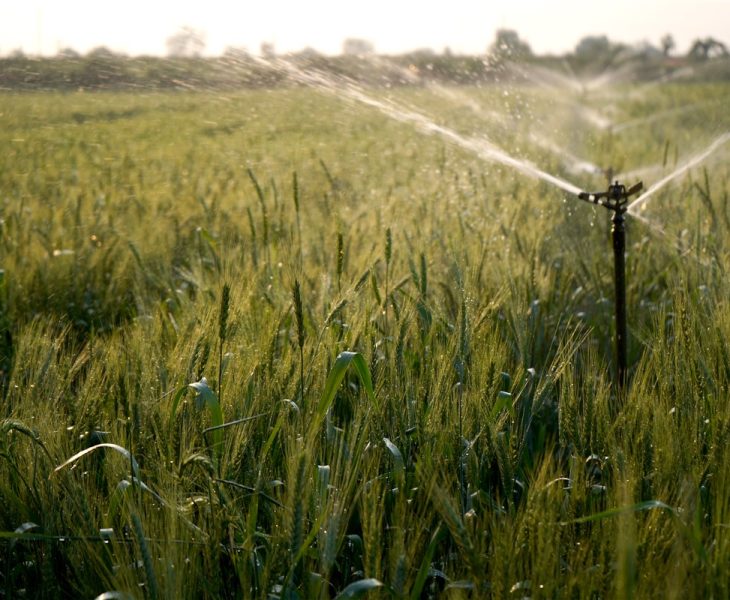 Arrosage par les agriculteurs
