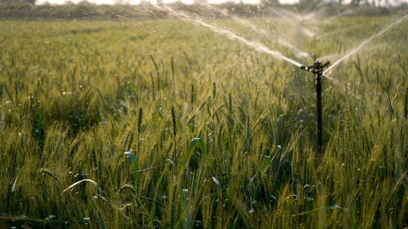 Arrosage par les agriculteurs