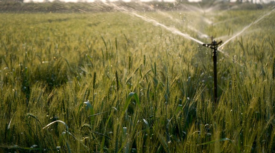 Arrosage par les agriculteurs