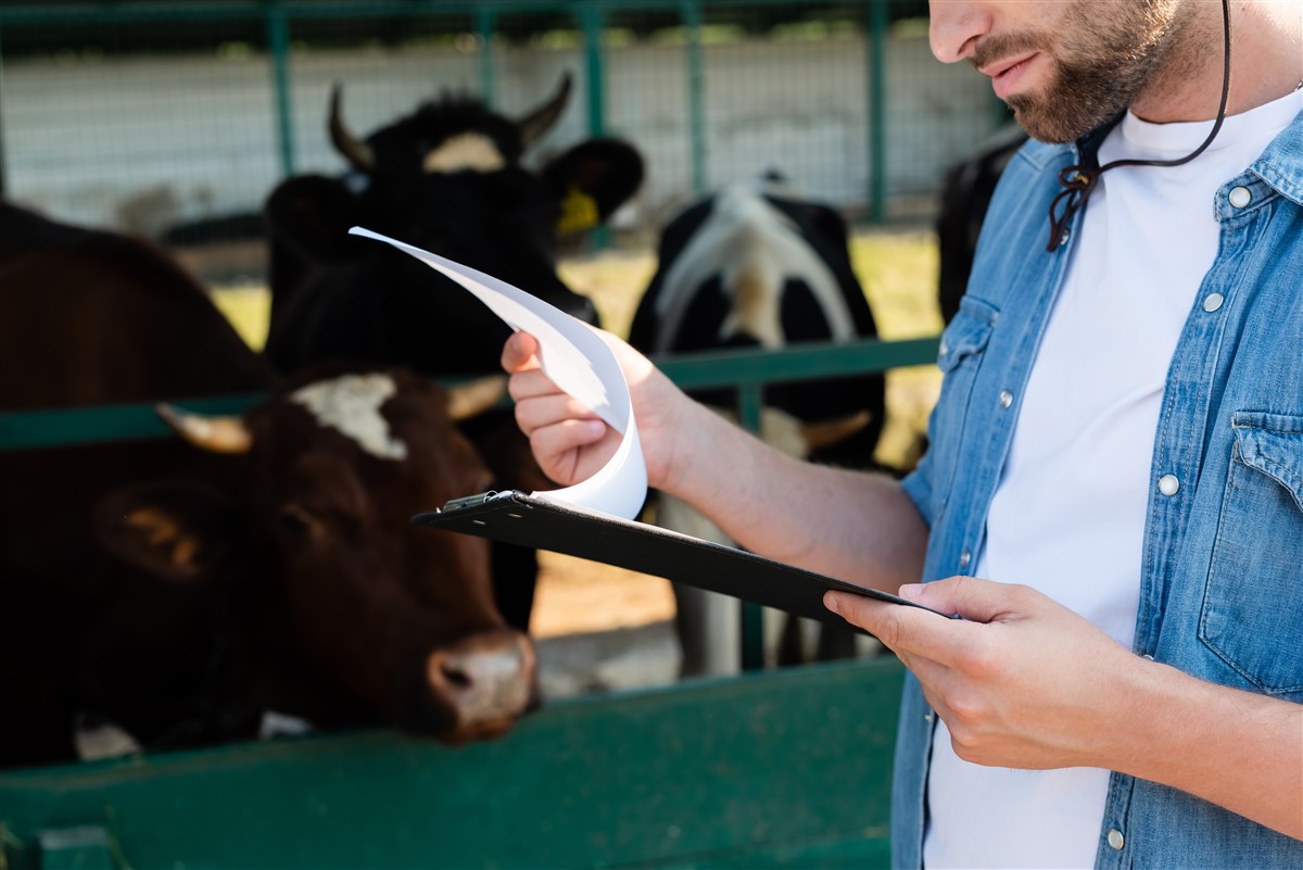 Obtenir le statut d'agriculteur en Belgique