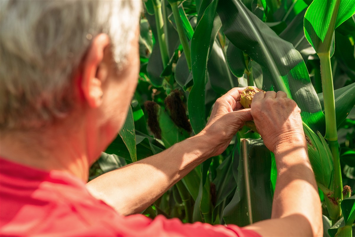 Obtenir le statut d'agriculteur en Belgique