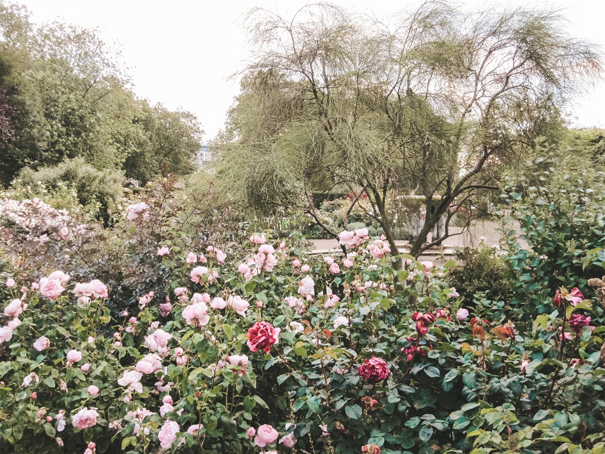 atmosphère des jardins anglais