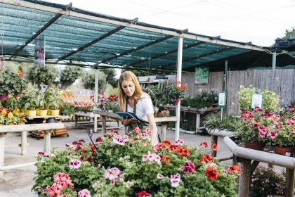 Comprendre le langage des fleurs