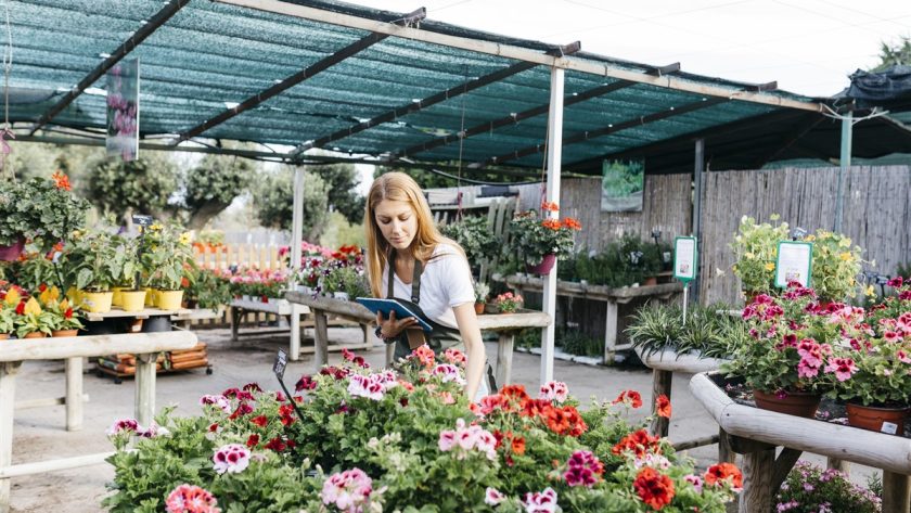 Comprendre le langage des fleurs