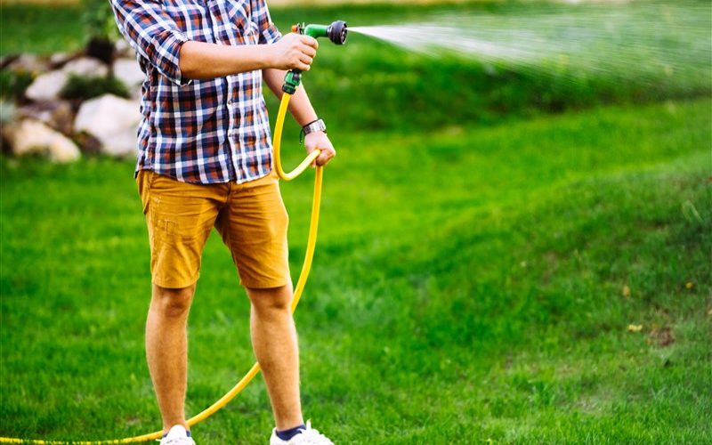 Secrets pour une pelouse irréprochable