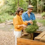 Transformer les déchets de tonte en compost