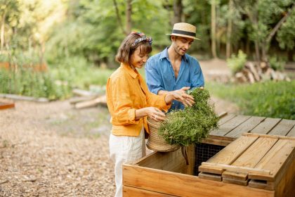 Transformer les déchets de tonte en compost