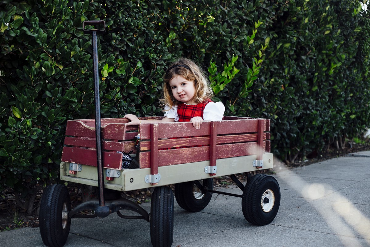 chariot de jardin idéal pour les amateurs de jardinage