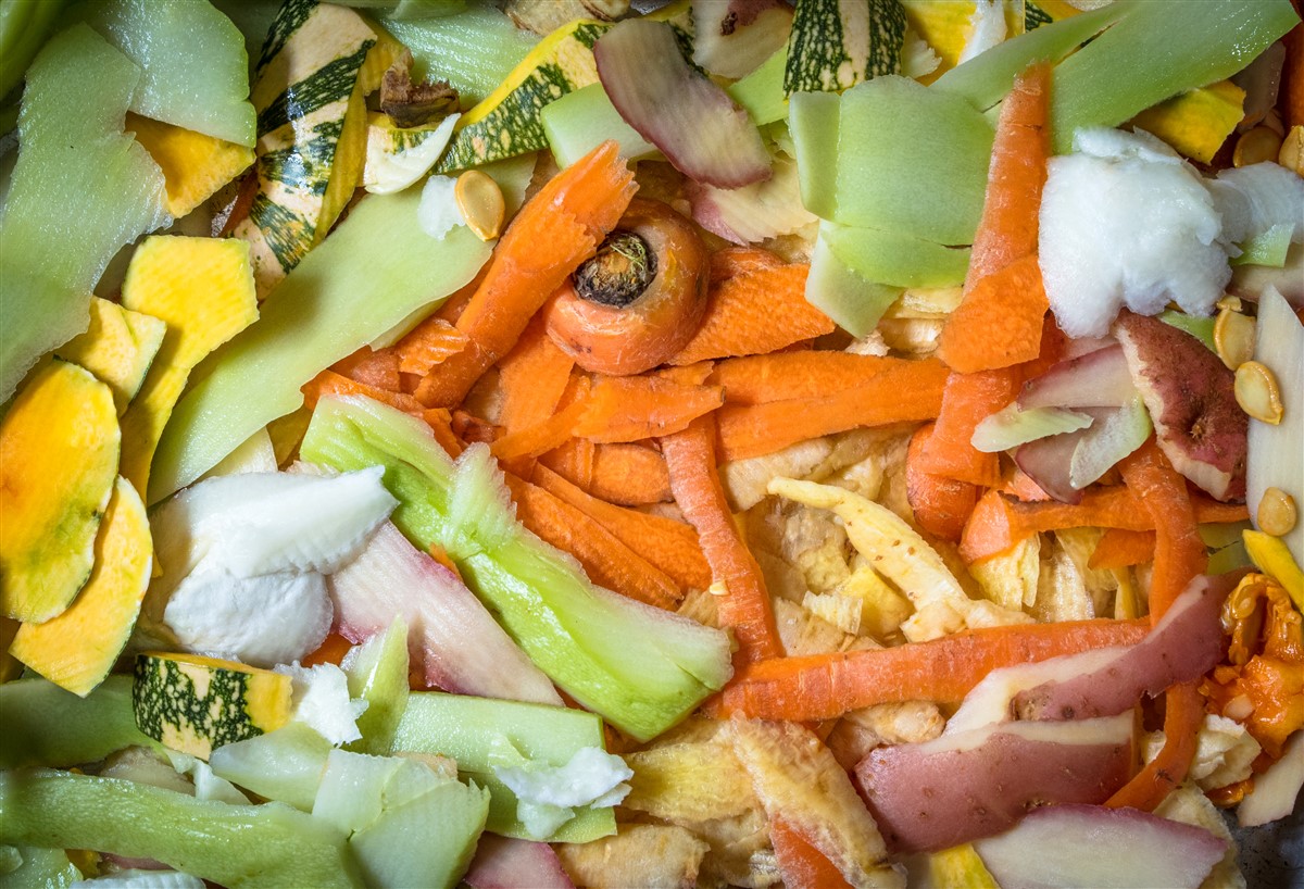 compost pour un jardin écologique