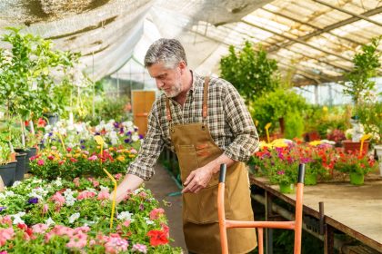 conseils pour garantir une floraison éclatante