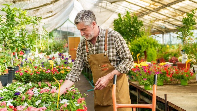 conseils pour garantir une floraison éclatante