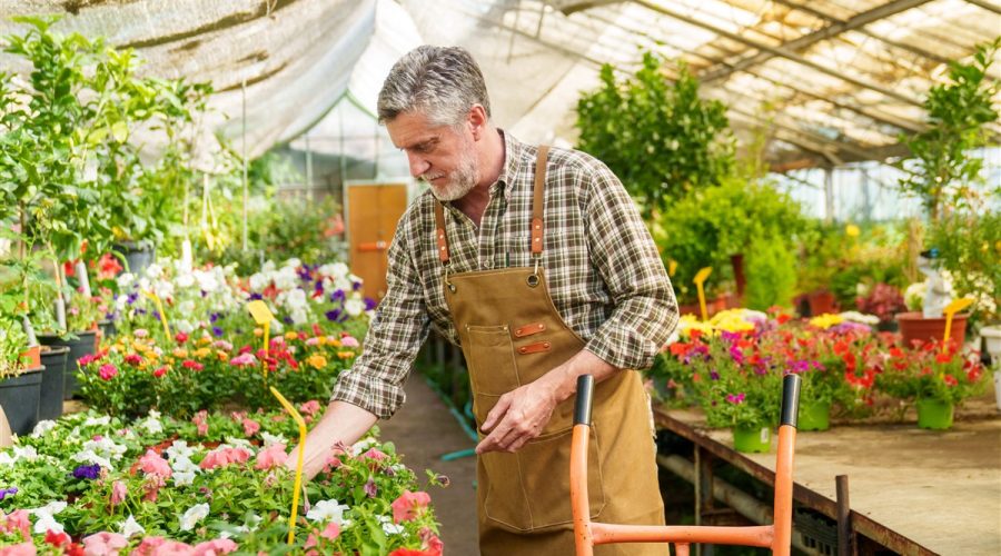 conseils pour garantir une floraison éclatante