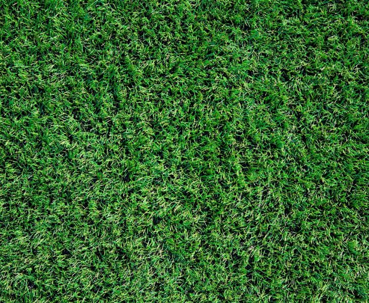 gazon synthétique le plus adapté pour votre jardin