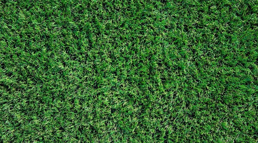 gazon synthétique le plus adapté pour votre jardin