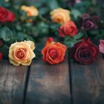 Comment faire des boutures de rosiers : astuces pour débutants