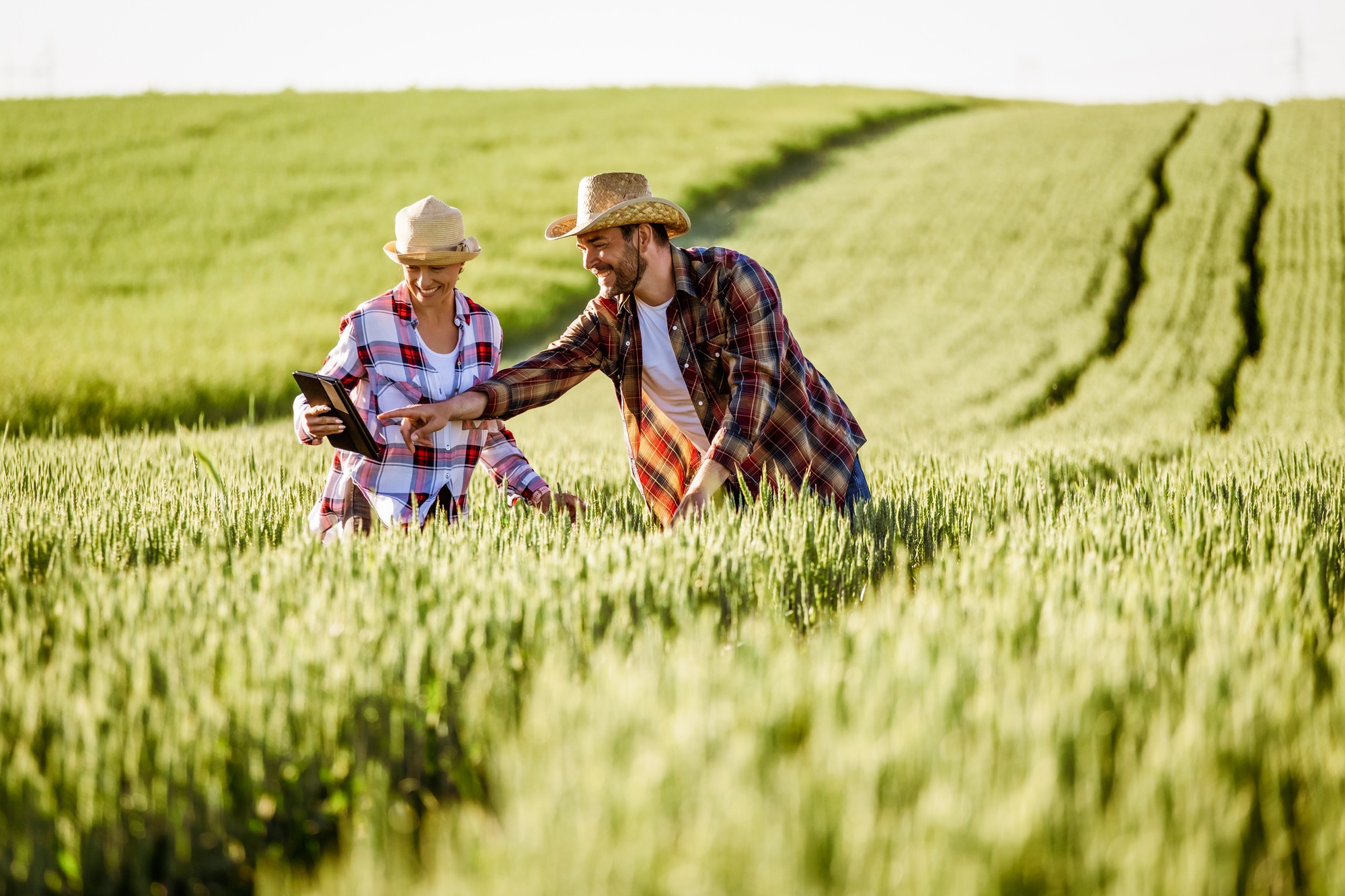 Agriculture
