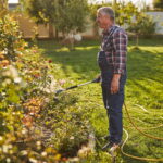 Gladsome senior citizen watering plants from a hose