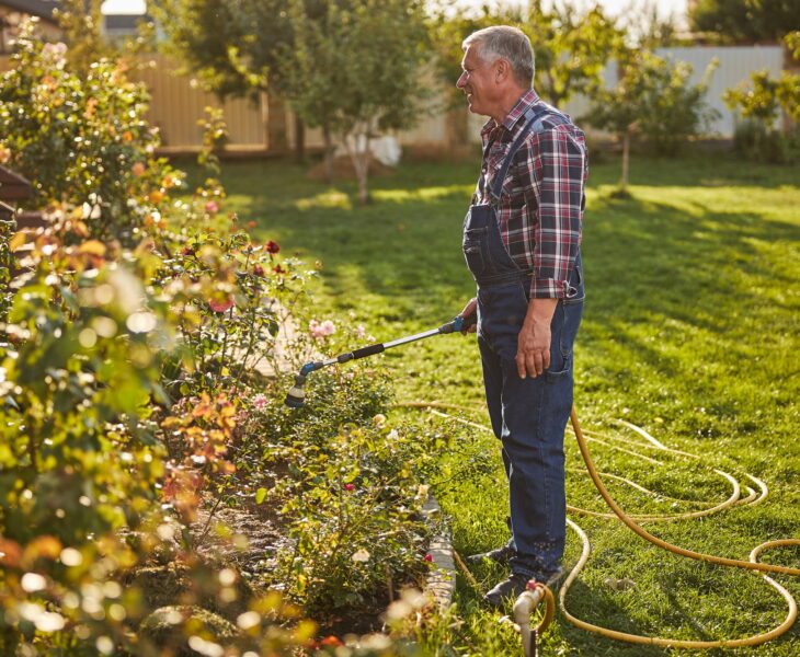 Gladsome senior citizen watering plants from a hose