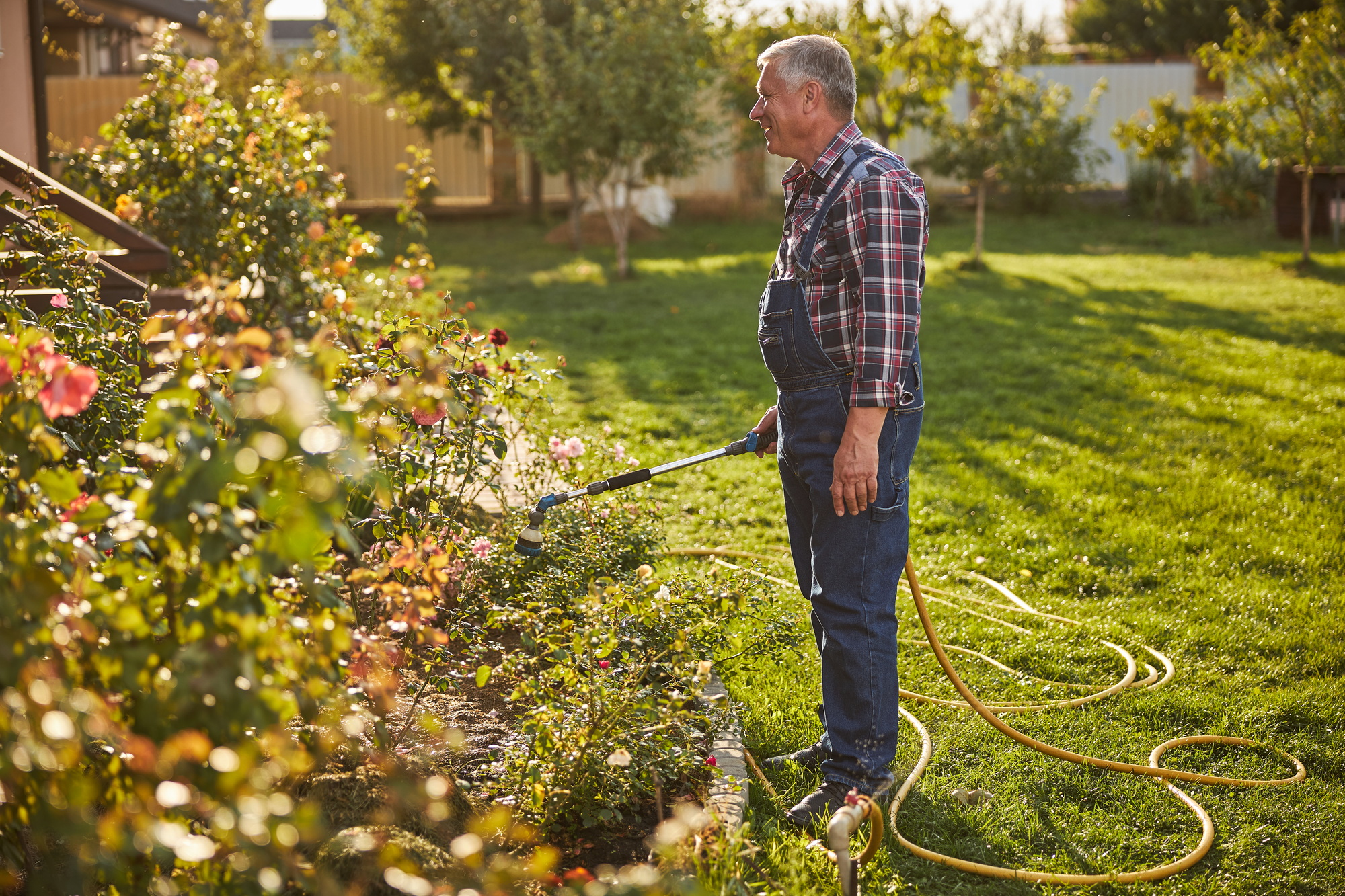 Gladsome senior citizen watering plants from a hose