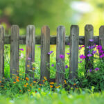 bordure-jardin