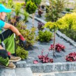 Professional Landscaping Worker Inside Newly Designed Backyard Garden