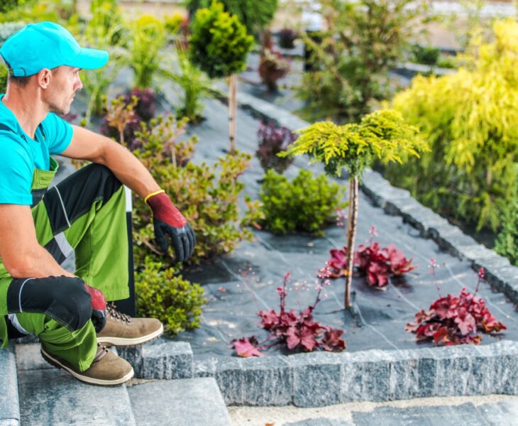 Professional Landscaping Worker Inside Newly Designed Backyard Garden
