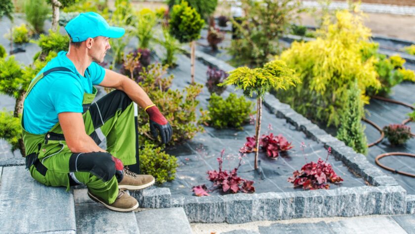 Professional Landscaping Worker Inside Newly Designed Backyard Garden