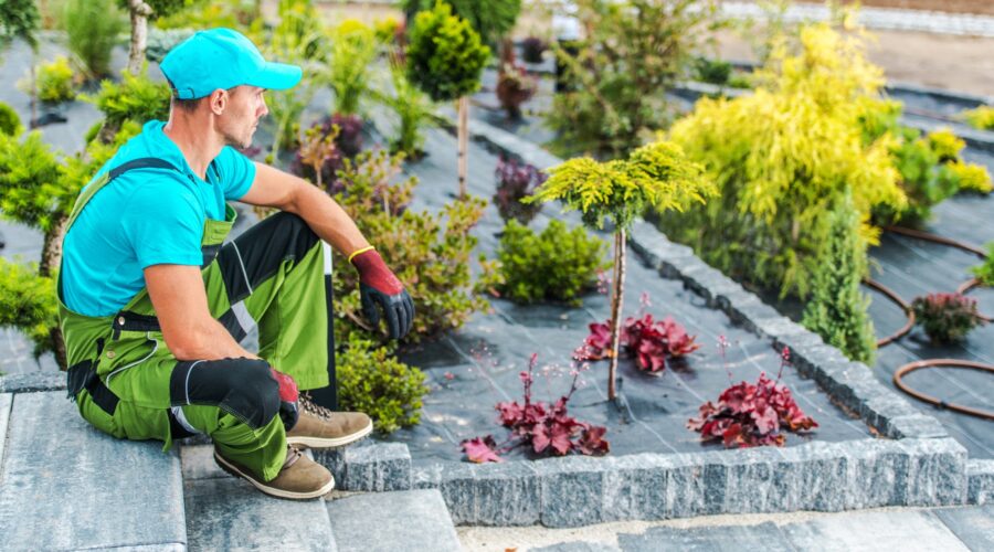 Professional Landscaping Worker Inside Newly Designed Backyard Garden
