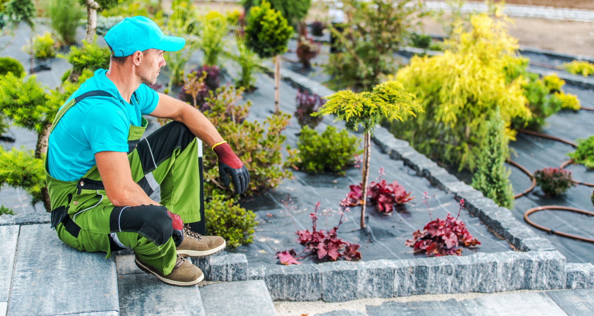 Professional Landscaping Worker Inside Newly Designed Backyard Garden