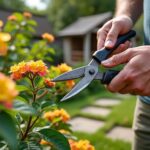 découvrez les principales erreurs à éviter lors du bouturage du lantana pour assurer une reprise réussie et obtenir des plantes saines et florissantes.