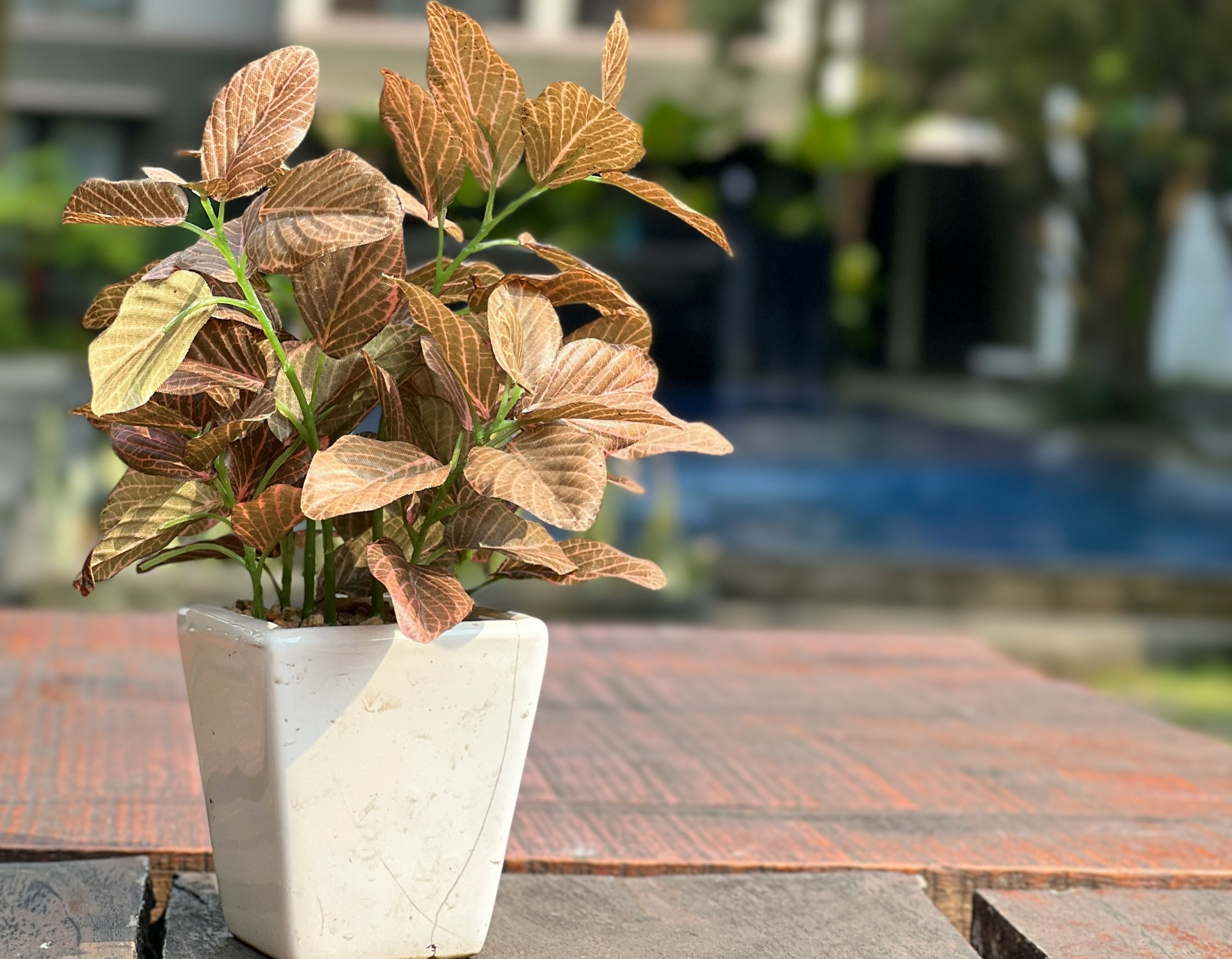 plantes artificielles