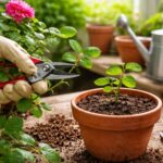 découvrez les étapes clés et astuces pour réussir à bouturer un rosier comme un expert et embellir votre jardin avec de magnifiques rosiers.