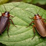 apprenez à identifier correctement les insectes ressemblant à des cafards et évitez les erreurs courantes grâce à nos conseils pratiques et faciles à suivre.