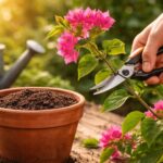apprenez à bouturer un bougainvillier facilement grâce à notre guide étape par étape pour réussir vos boutures rapidement et avec succès.