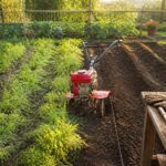 apprenez l'importance de désherber avant d'utiliser le motoculteur chaque saison pour optimiser la qualité du sol et assurer une meilleure croissance de vos plantations.