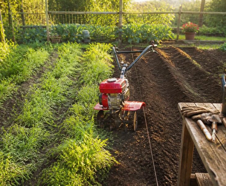 apprenez l'importance de désherber avant d'utiliser le motoculteur chaque saison pour optimiser la qualité du sol et assurer une meilleure croissance de vos plantations.