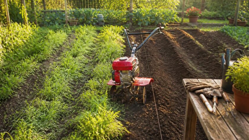 apprenez l'importance de désherber avant d'utiliser le motoculteur chaque saison pour optimiser la qualité du sol et assurer une meilleure croissance de vos plantations.