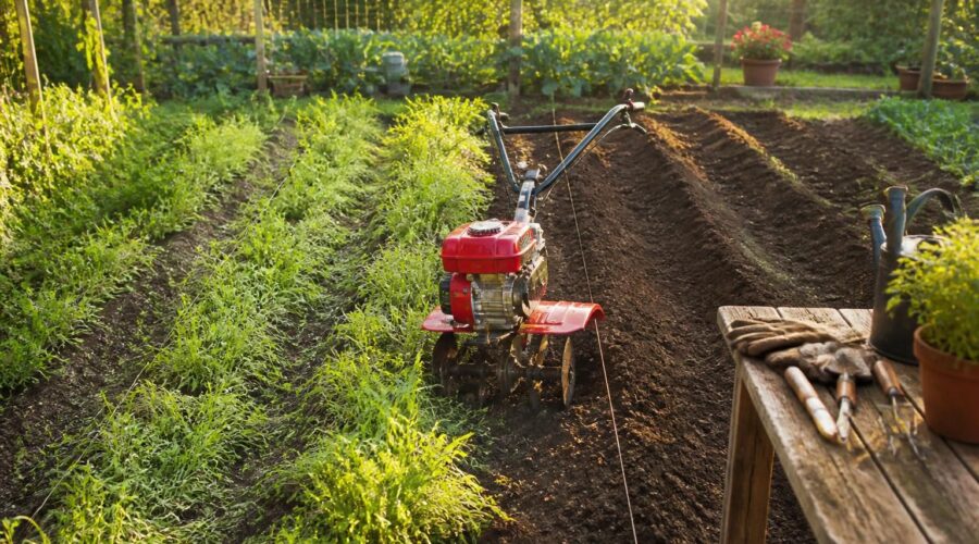 apprenez l'importance de désherber avant d'utiliser le motoculteur chaque saison pour optimiser la qualité du sol et assurer une meilleure croissance de vos plantations.