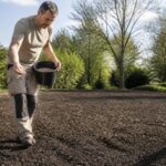 découvrez nos conseils pratiques pour réussir un semis de semence herbe sur terrain nu et obtenir une pelouse dense et verdoyante.