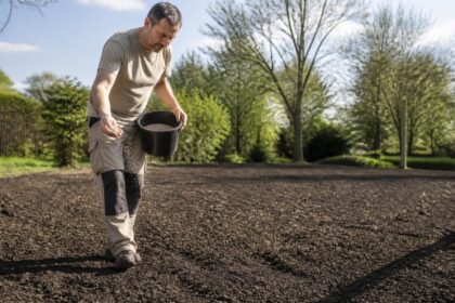 découvrez nos conseils pratiques pour réussir un semis de semence herbe sur terrain nu et obtenir une pelouse dense et verdoyante.