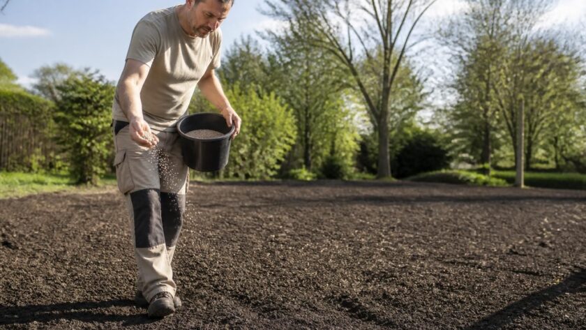 découvrez nos conseils pratiques pour réussir un semis de semence herbe sur terrain nu et obtenir une pelouse dense et verdoyante.