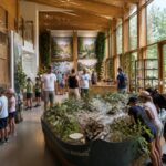 découvrez comment la maison de la nature et de l'environnement de l'isère sensibilise le public à la protection de l’environnement à travers des actions éducatives et des animations.