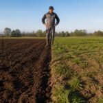 découvrez pourquoi il est important de désherber avant de retourner la terre pour garantir une récolte optimale et favoriser la santé de votre jardin.