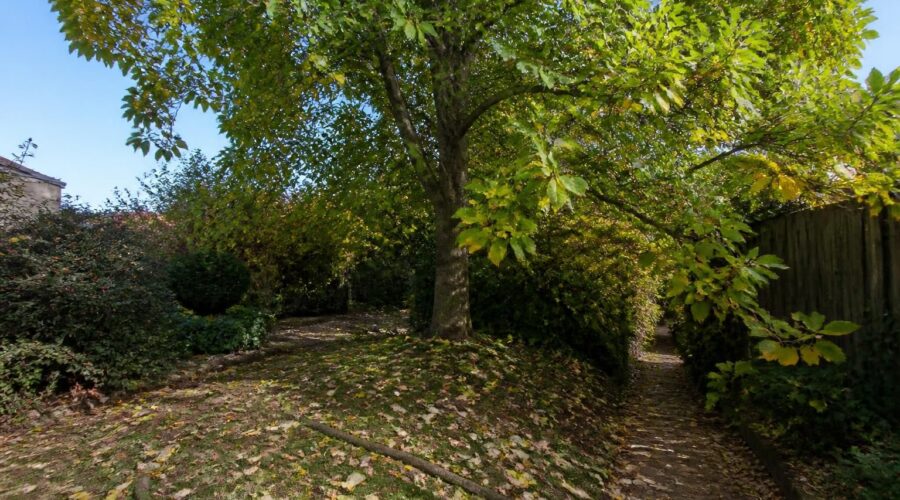 découvrez les inconvénients du tulipier de virginie et pourquoi cet arbre majestueux pourrait ne pas être adapté à votre jardin. apprenez à mieux choisir en fonction de vos besoins.