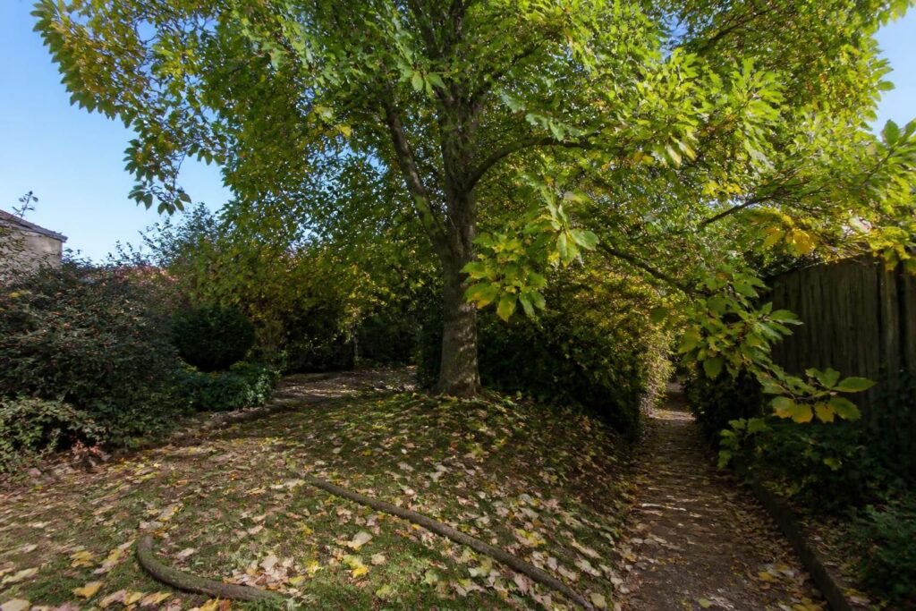 découvrez les inconvénients du tulipier de virginie et pourquoi cet arbre majestueux pourrait ne pas être adapté à votre jardin. apprenez à mieux choisir en fonction de vos besoins.