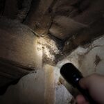 découvrez nos astuces infaillibles pour localiser un nid de mouches rapidement et efficacement, et apprenez comment les éliminer pour retrouver un environnement sain.