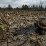découvrez pourquoi désherber au gasoil est une pratique dangereuse pour l'environnement et la santé, et apprenez les alternatives écologiques à privilégier.