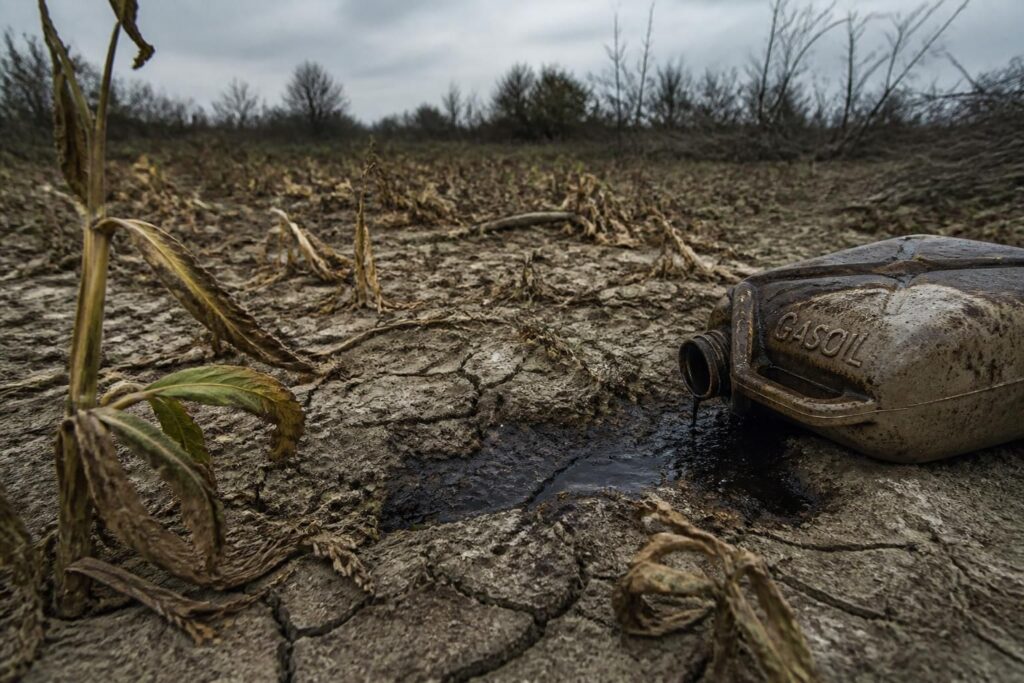 découvrez pourquoi désherber au gasoil est une pratique dangereuse pour l'environnement et la santé, et apprenez les alternatives écologiques à privilégier.